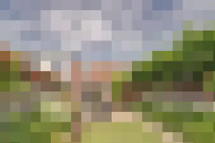 Oostvoorstraat 7 Wissenkerke thumbnail 26