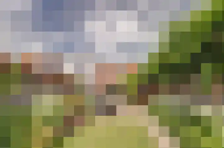 Oostvoorstraat 7 Wissenkerke thumbnail 27