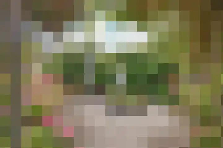Oostvoorstraat 7 Wissenkerke thumbnail 28