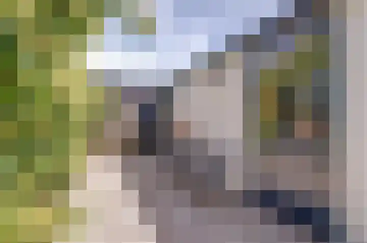 Oostvoorstraat 7 Wissenkerke thumbnail 30