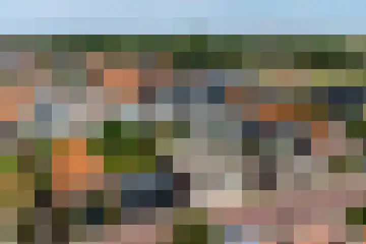 Oostvoorstraat 7 Wissenkerke thumbnail 33
