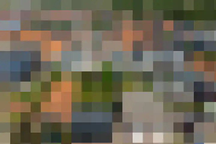 Oostvoorstraat 7 Wissenkerke thumbnail 34