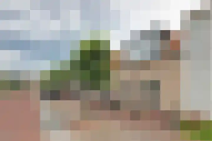 Oostvoorstraat 7 Wissenkerke thumbnail 35
