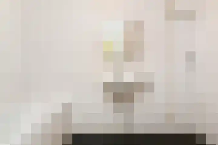 Oostwaarts 44 Zoetermeer thumbnail 35