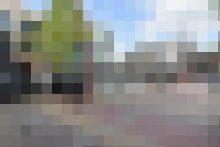 Oostwaarts 44 Zoetermeer thumbnail 39