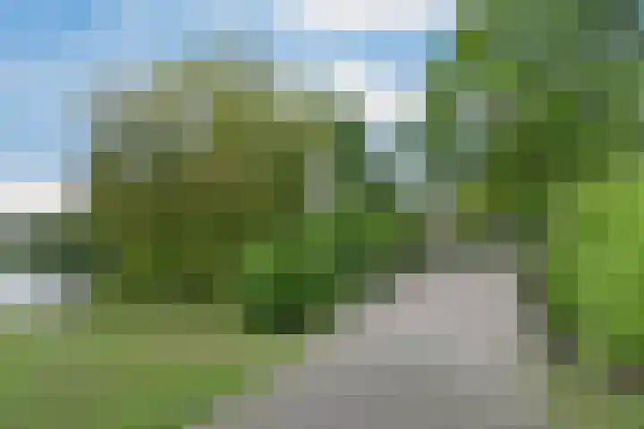 Oostwaarts 44 Zoetermeer thumbnail 43