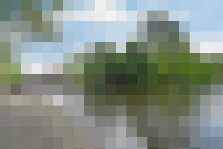 Oostwaarts 44 Zoetermeer thumbnail 45