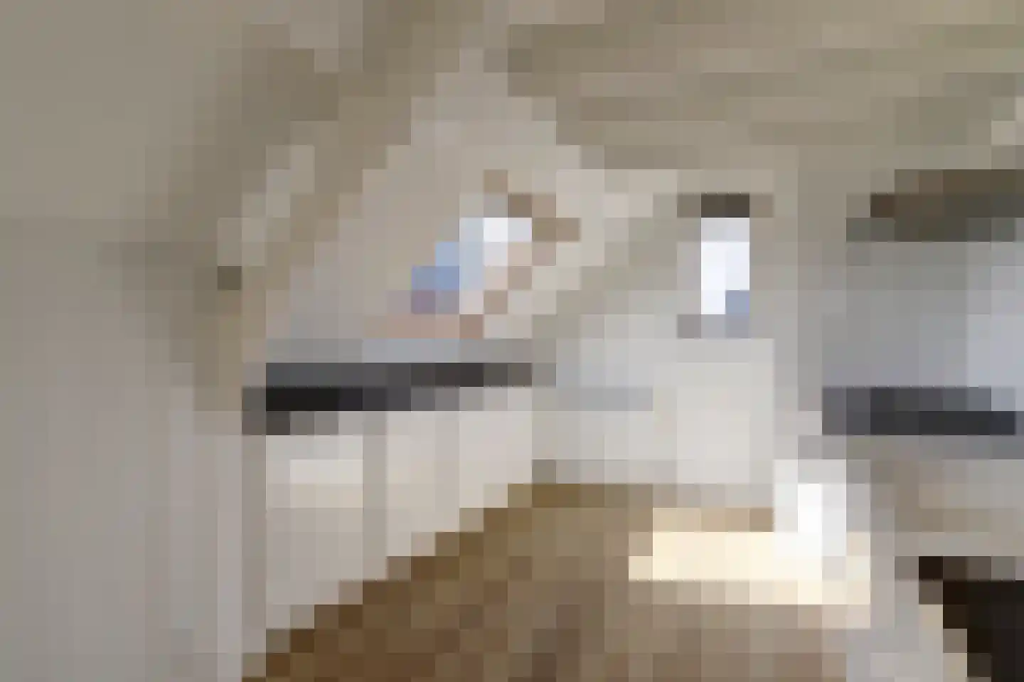 Oostwal 1 Leerdam thumbnail 14