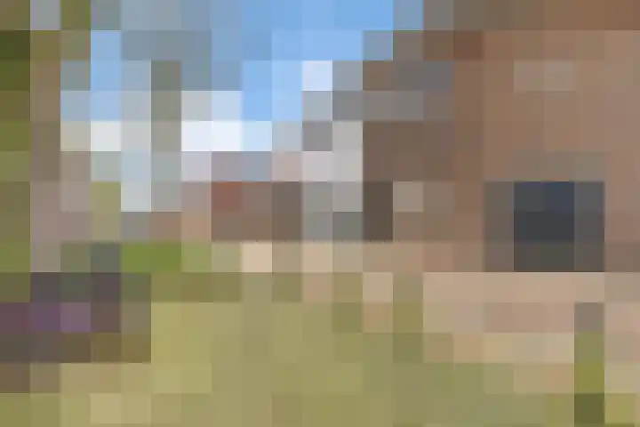 Oostwal 1 Leerdam thumbnail 8