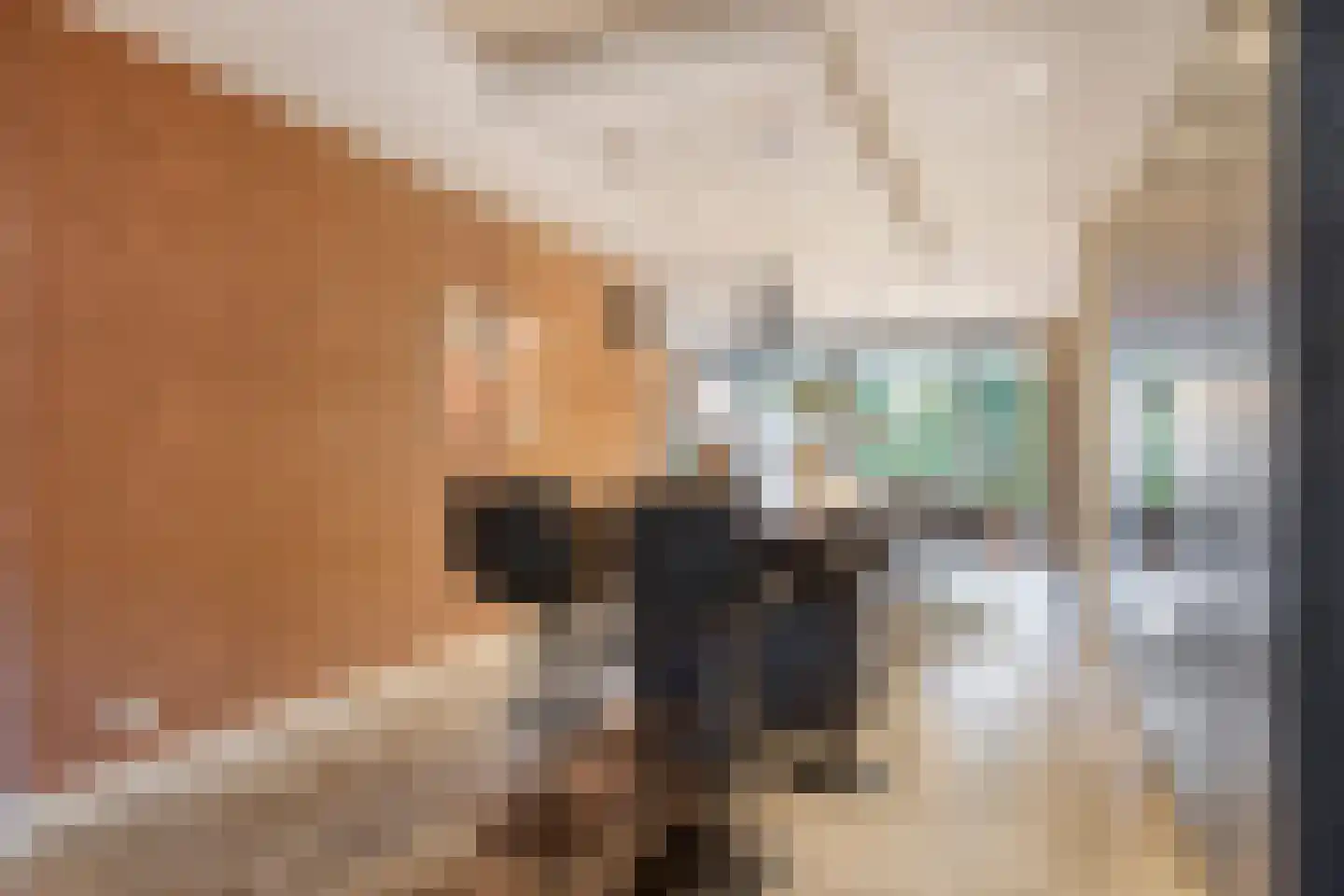 Oostwal 10 Oss thumbnail 11