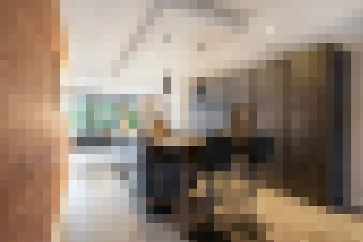 Oostwal 10 Oss thumbnail 12