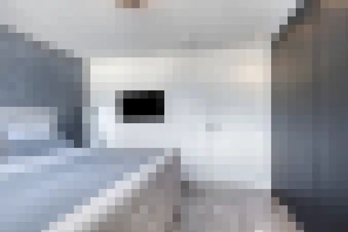 Oostwal 10 Oss thumbnail 23