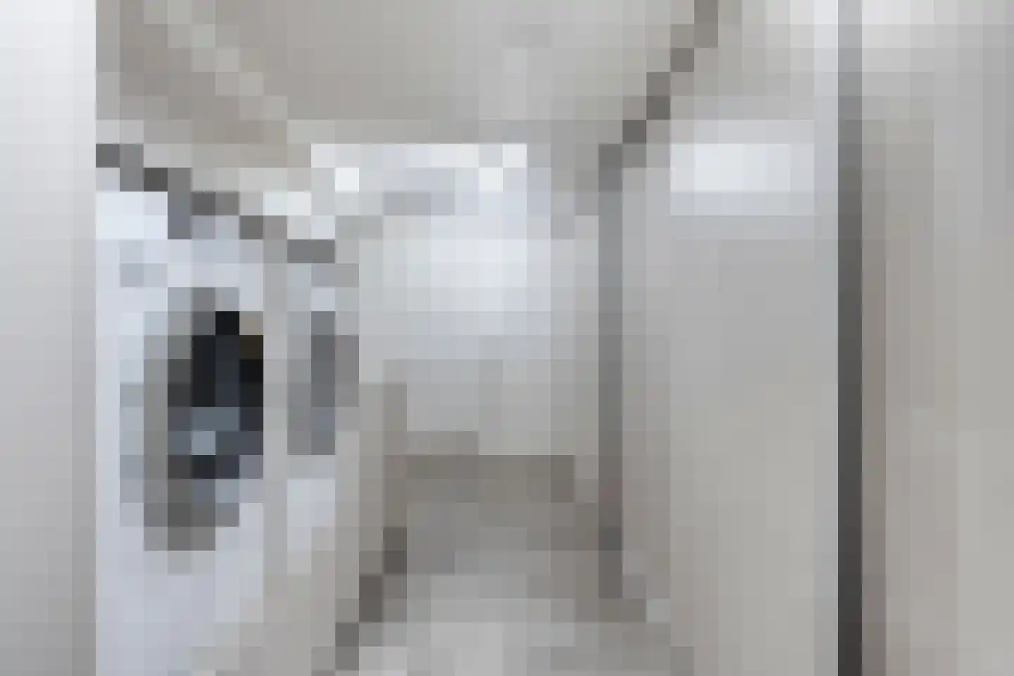 Oostwal 10 Oss thumbnail 29