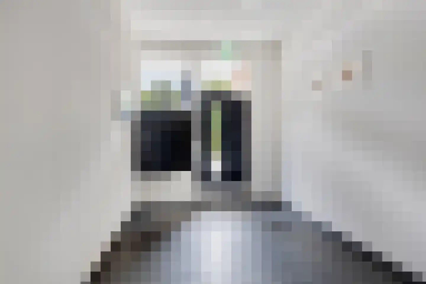 Oostwal 10 Oss thumbnail 6