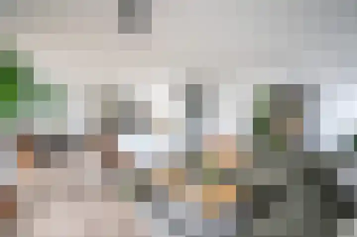 Oostwal 13 Leerdam