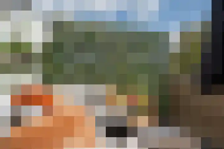 Oostwal 13 Leerdam thumbnail 13