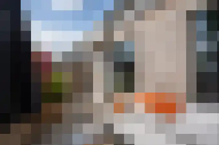 Oostwal 13 Leerdam thumbnail 15