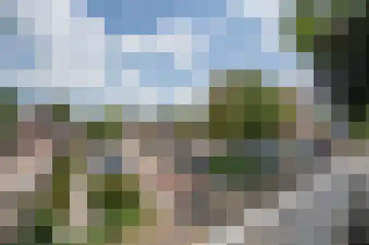 Oostwal 13 Leerdam thumbnail 16