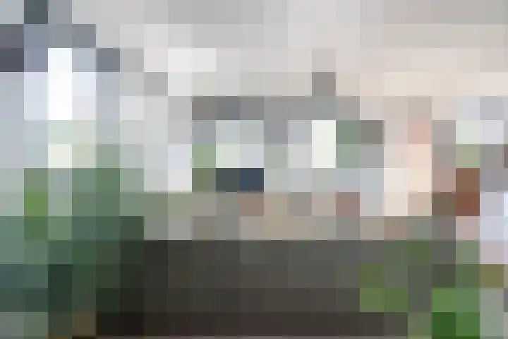 Oostwal 13 Leerdam foto 2