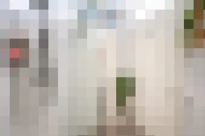 Oostwal 13 Leerdam thumbnail 23