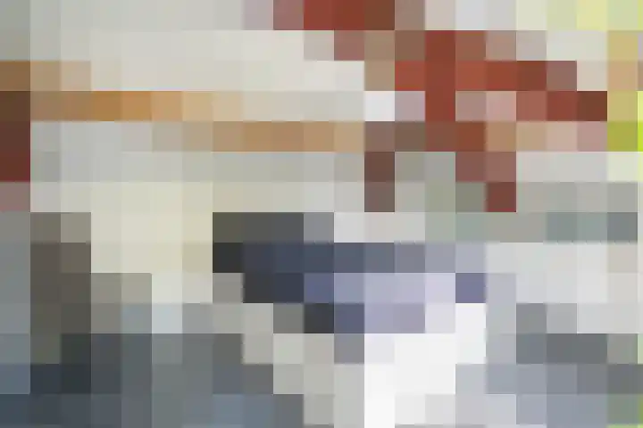 Oostwal 13 Leerdam thumbnail 31