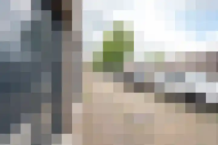 Oostwal 13 Leerdam thumbnail 6