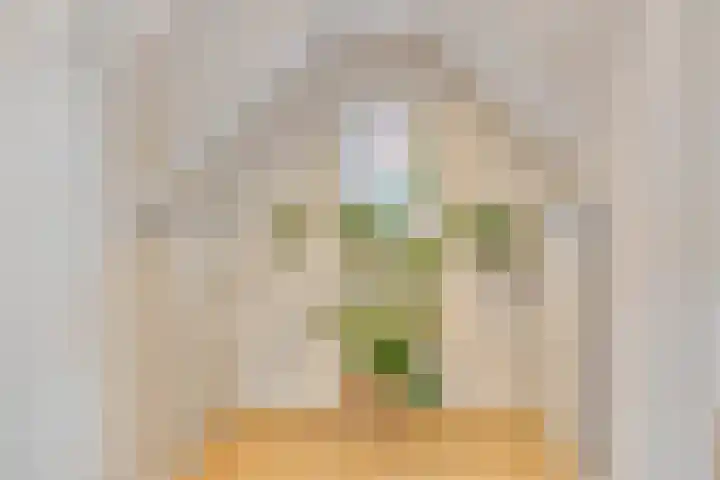 Oostwal 15 Oldenzaal thumbnail 23