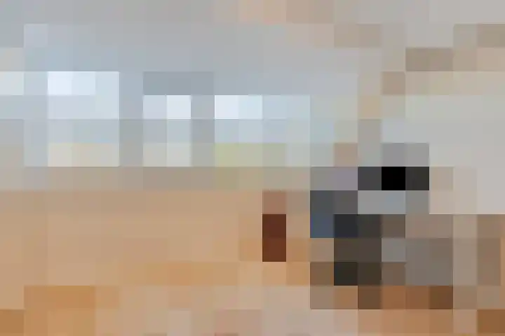 Oostwal 15 Oldenzaal thumbnail 27