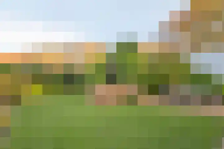 Oostwal 15 Oldenzaal thumbnail 33