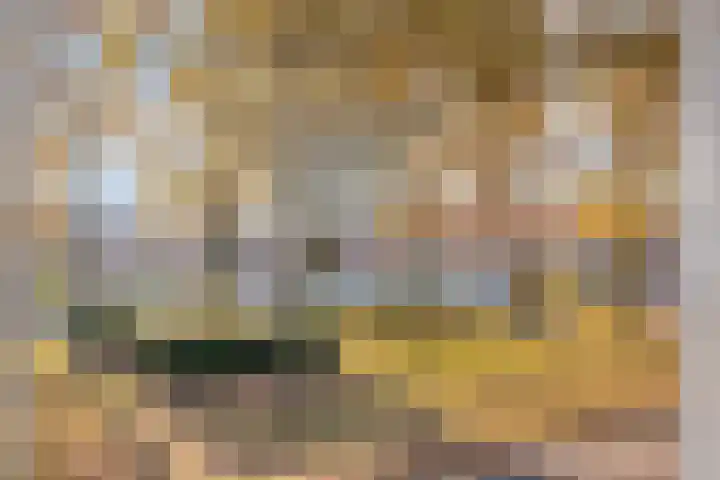 Oostwal 15 Oldenzaal thumbnail 37