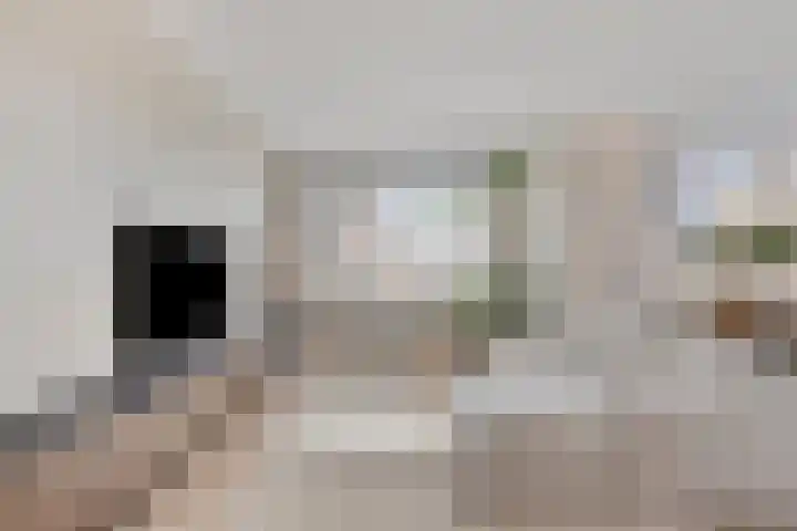 Oostwal 15 Oldenzaal thumbnail 8