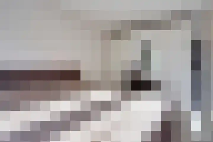 Oostwal 158 A Oss thumbnail 13