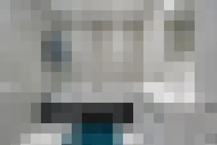 Oostwal 158 A Oss thumbnail 14