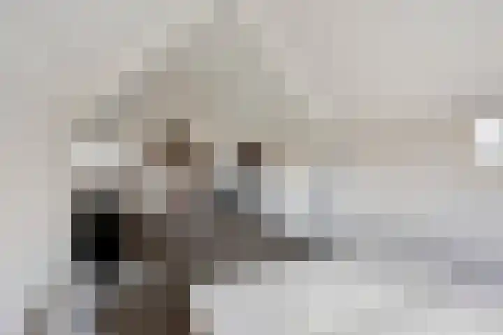 Oostwal 158 A Oss thumbnail 18
