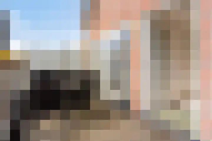 Oostwal 158 A Oss thumbnail 20