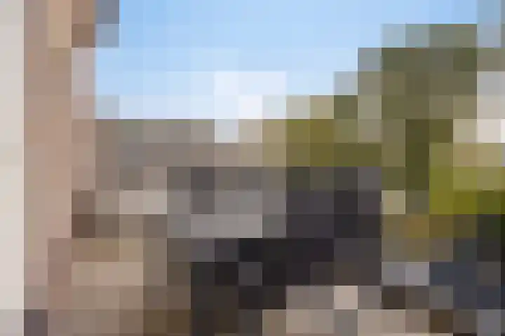 Oostwal 158 A Oss thumbnail 21