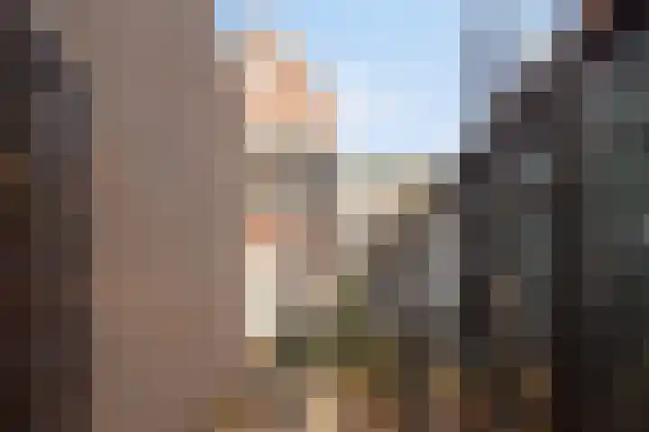 Oostwal 158 A Oss thumbnail 22