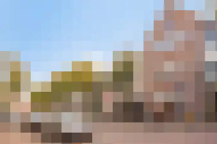 Oostwal 158 A Oss thumbnail 25
