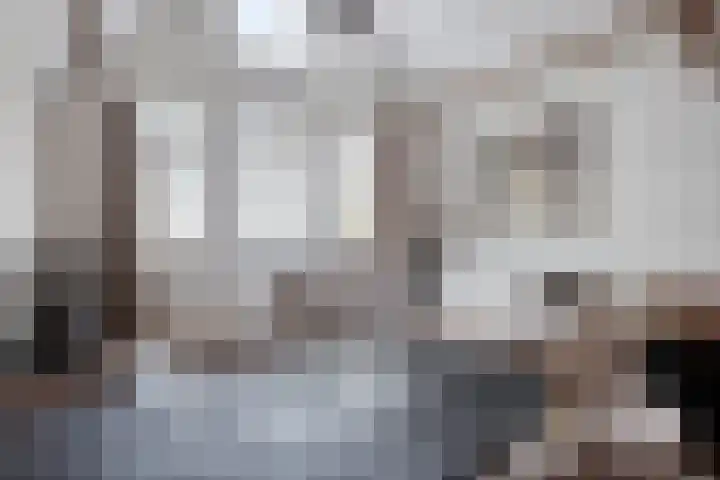 Oostwal 158 A Oss thumbnail 5