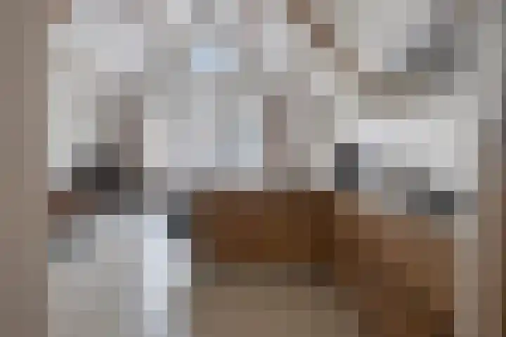 Oostwal 158 A Oss thumbnail 7