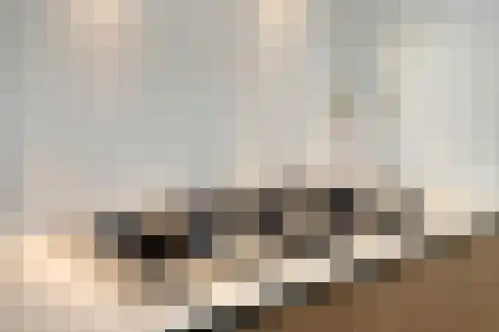 Oostwal 158 A Oss thumbnail 8