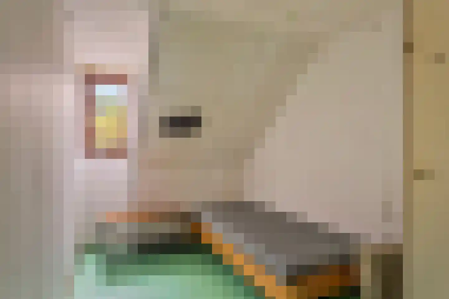 Oostwal 18 Oss thumbnail 20