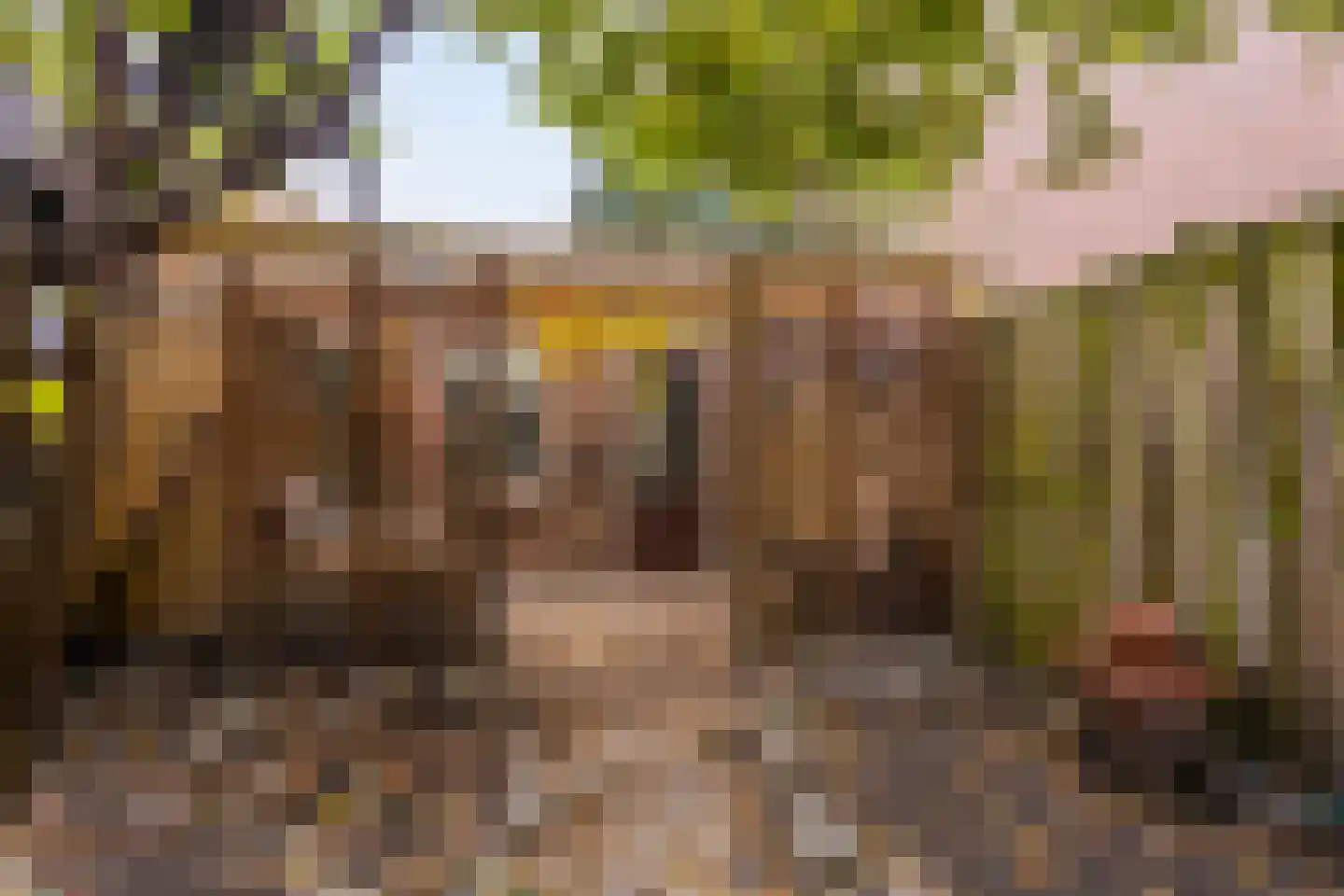 Oostwal 18 Oss thumbnail 24