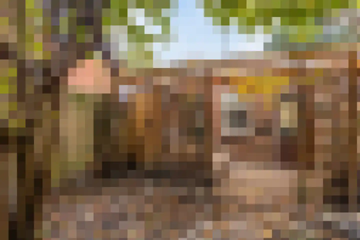 Oostwal 18 Oss thumbnail 25