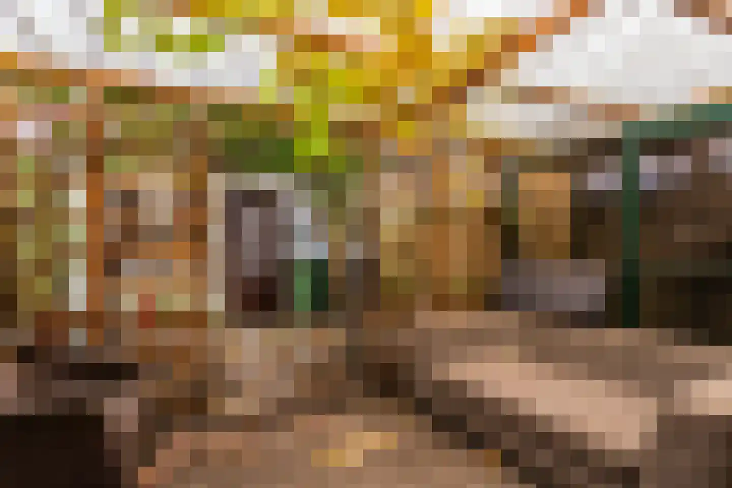 Oostwal 18 Oss thumbnail 26