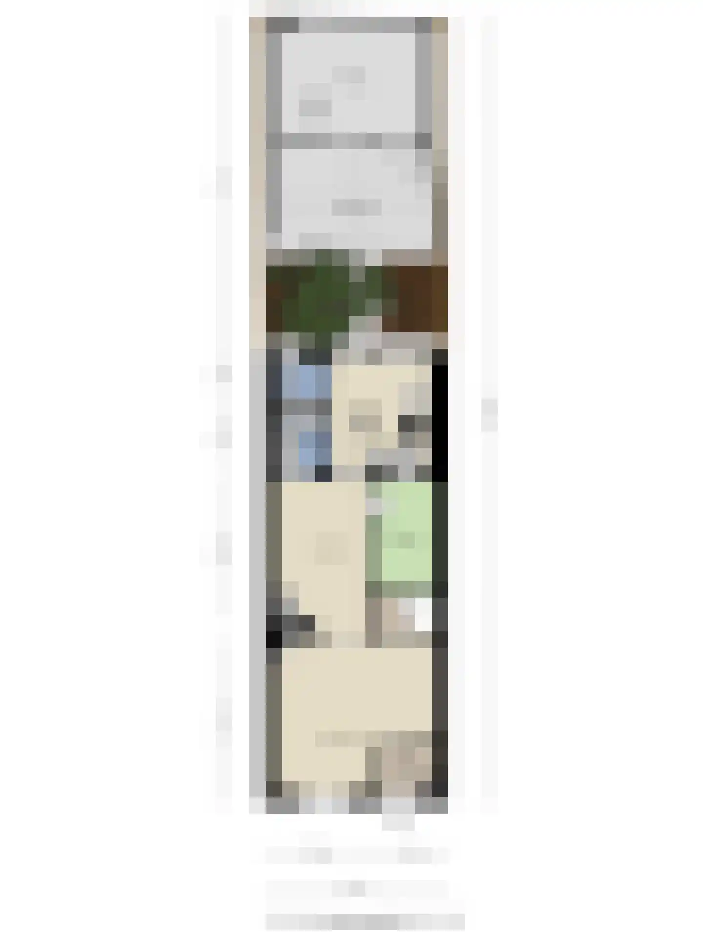 Oostwal 18 Oss thumbnail 34
