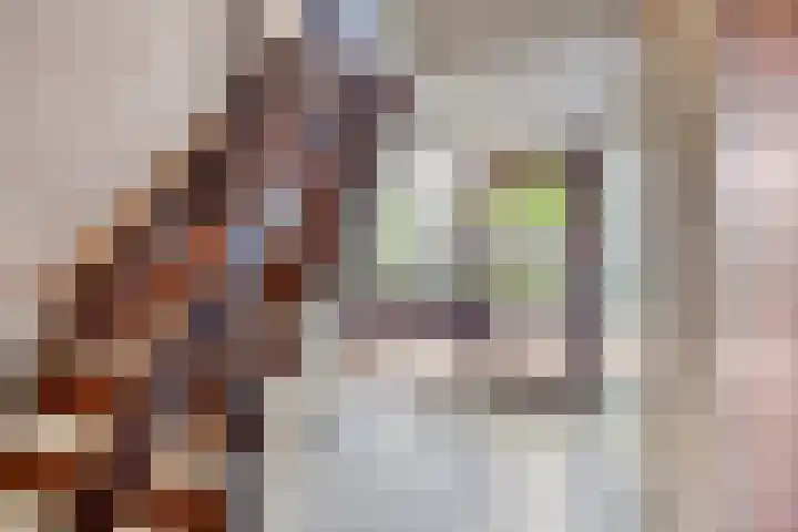 Oostwal 182 Oss thumbnail 5