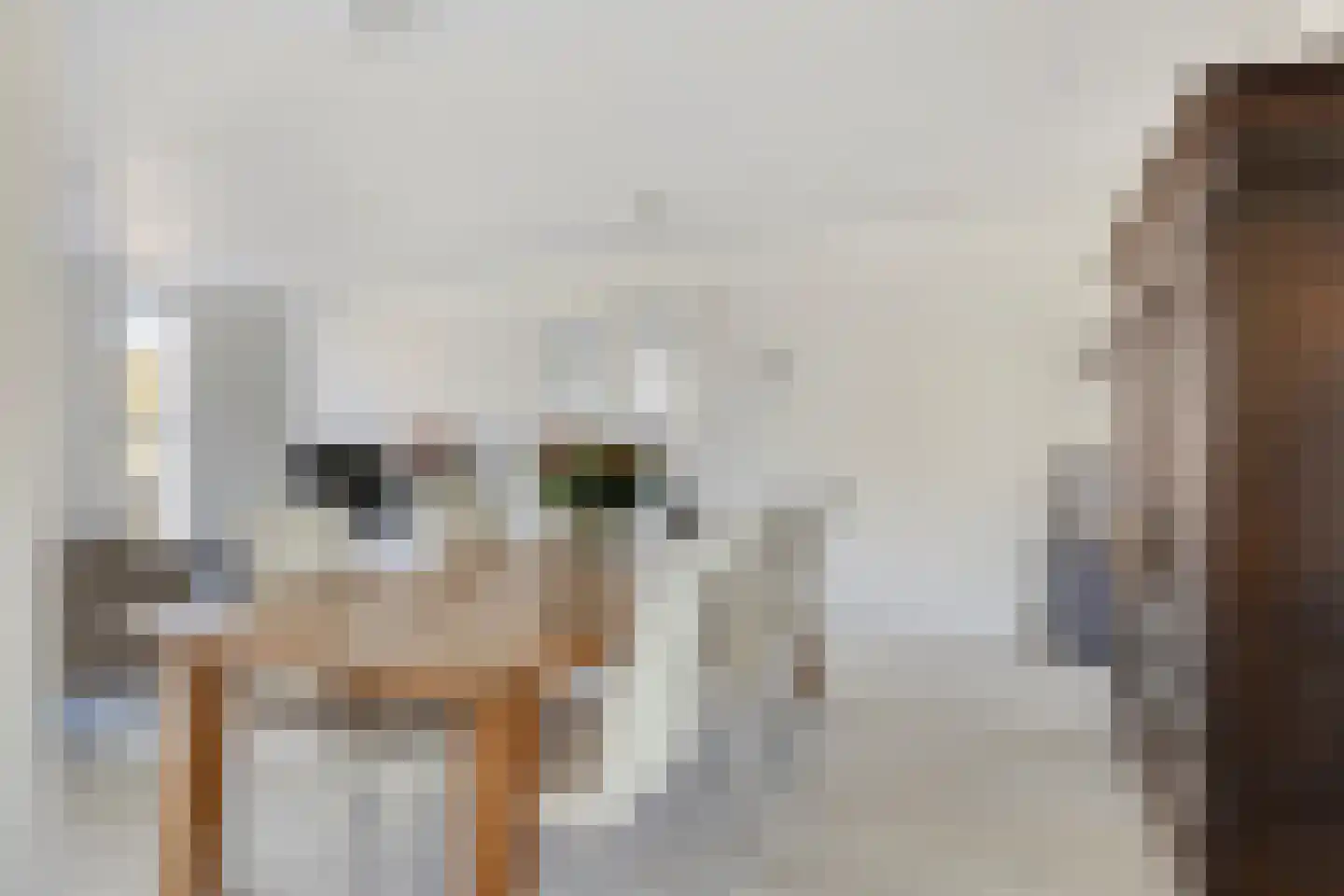 Oostwal 202 B Oss thumbnail 17