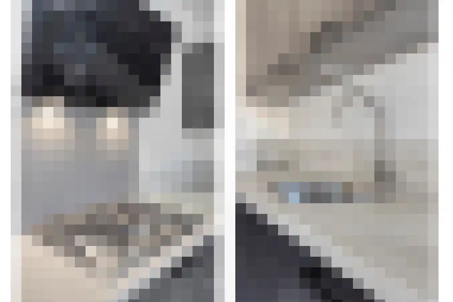Oostwal 202 B Oss thumbnail 26