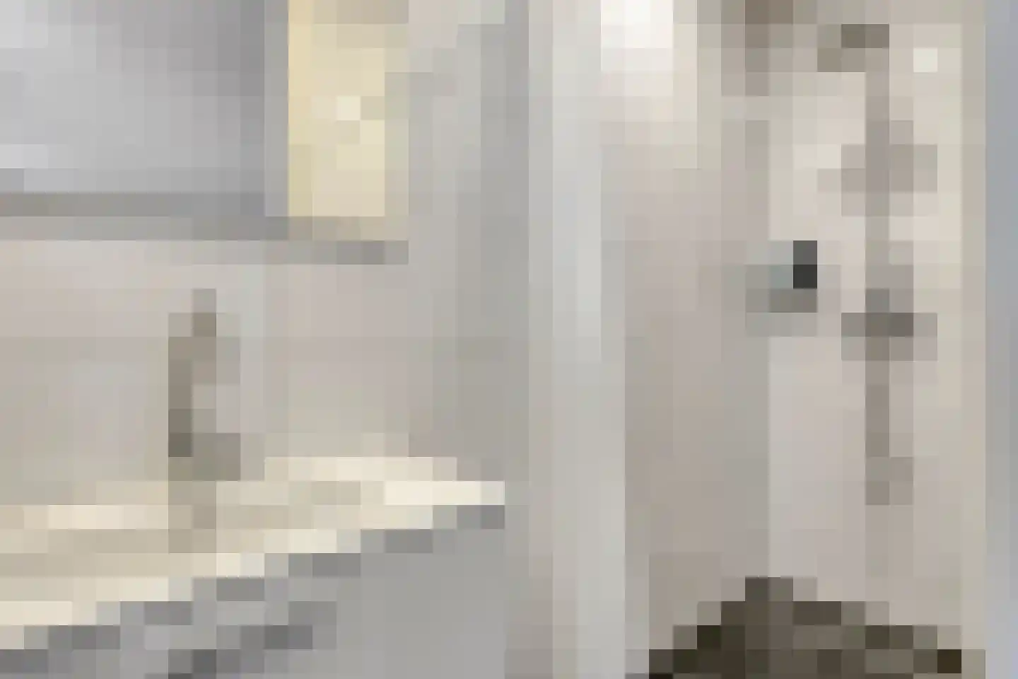 Oostwal 202 B Oss thumbnail 38